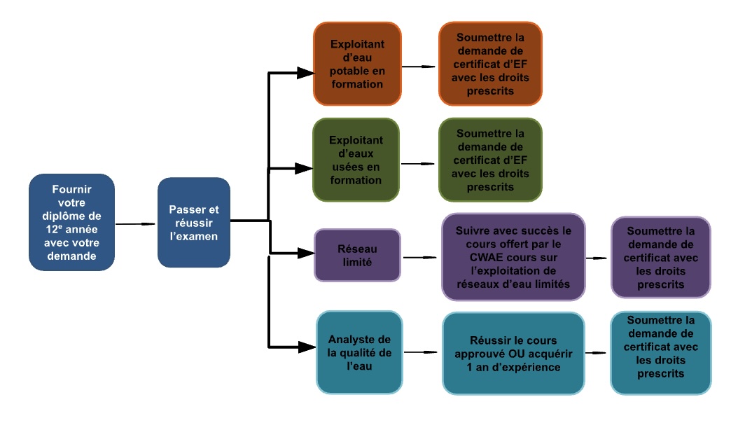 Les étapes à suivre pour obtenir votre certificat ou permis
